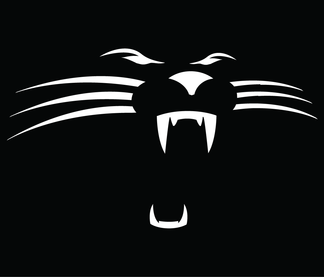 Carolina Panthers 1995-2011 Alternate Logo iron on transfers for T-shirts